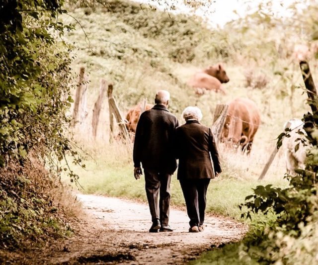 quota-100-quota-41-pronta-rivoluzione-pensioni